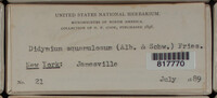 Image Associated With the Occurence